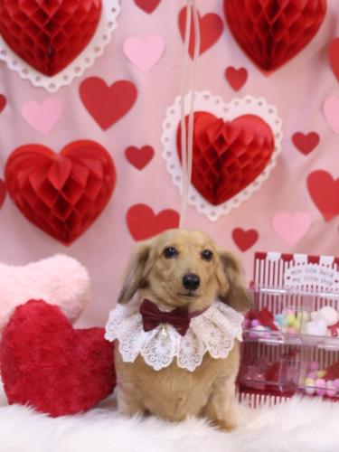 20240210モカちゃん